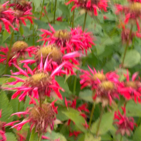 Bookmark me by liking this :) - Picture 7 of 8